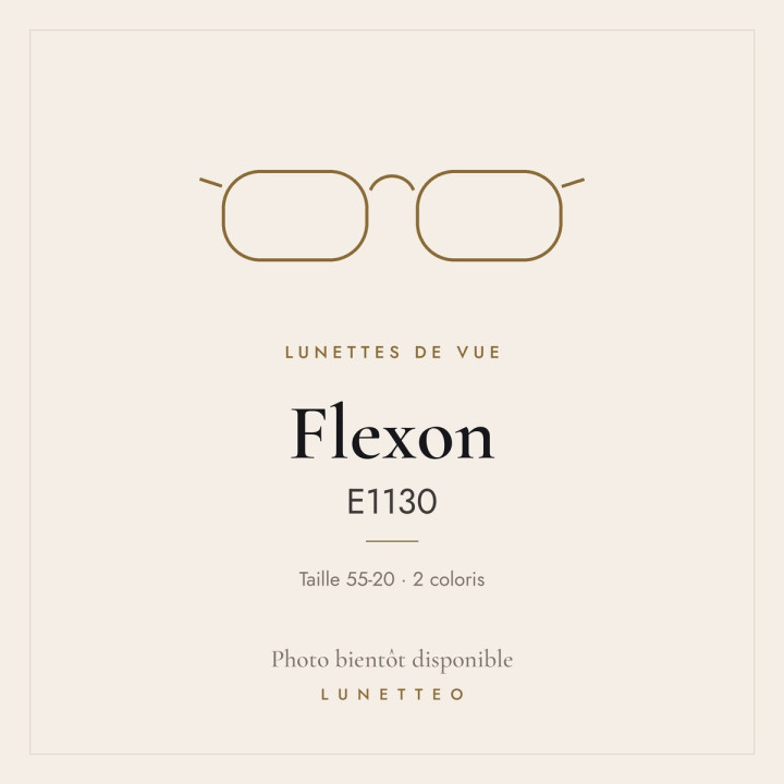 Lunettes de vue Flexon E1130