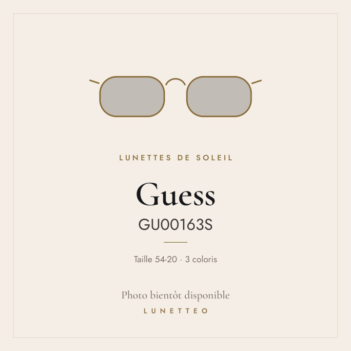 Lunettes de soleil Guess GU00163S