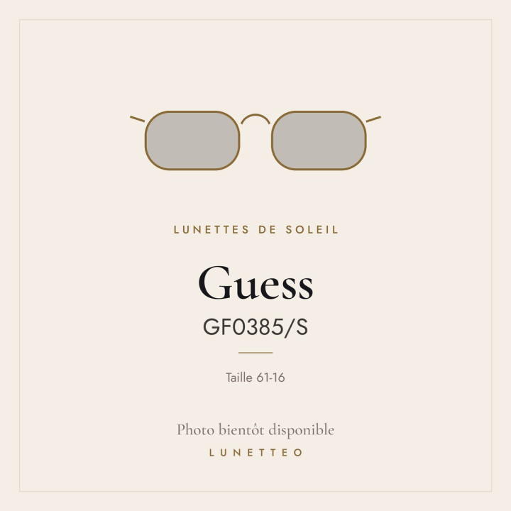 Lunettes de soleil Guess GF0385/S
