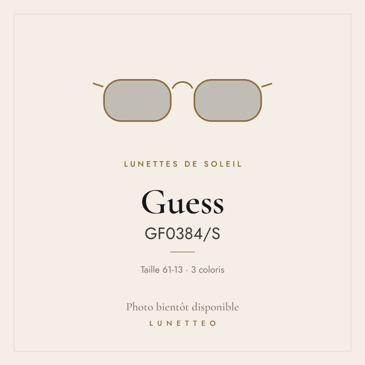 Lunettes de soleil Guess GF0384/S