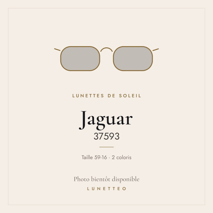 Lunettes de soleil Jaguar 37593