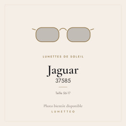 Lunettes de soleil Jaguar 37585