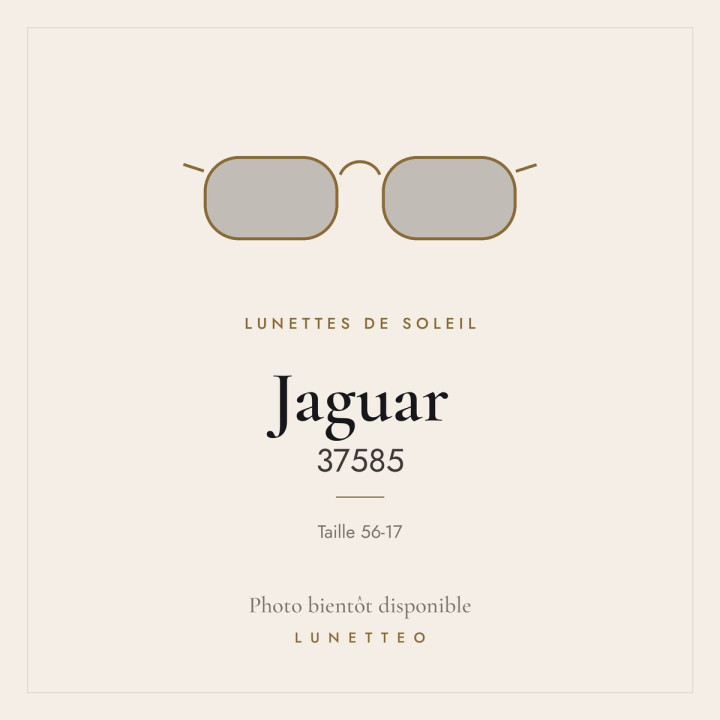 Lunettes de soleil Jaguar 37585