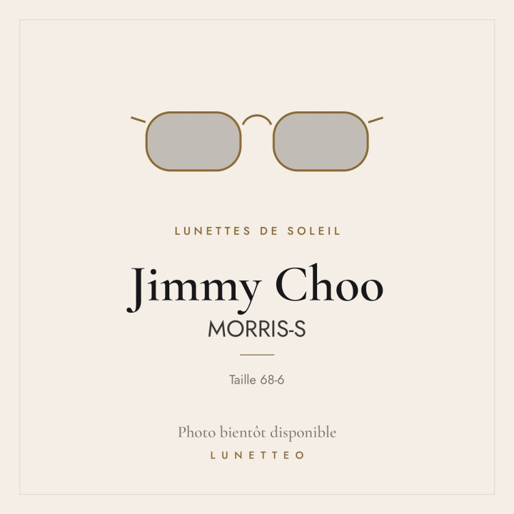Lunettes de soleil Jimmy Choo MORRIS-S