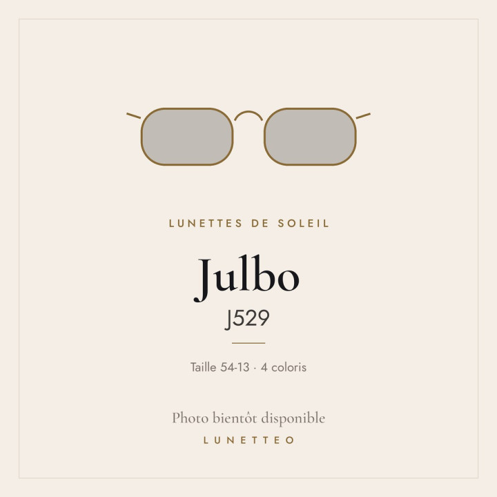 Lunettes de soleil Julbo J529