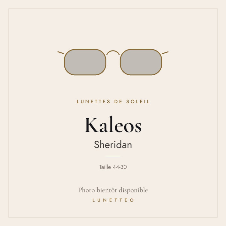 Lunettes de soleil Kaleos Sheridan