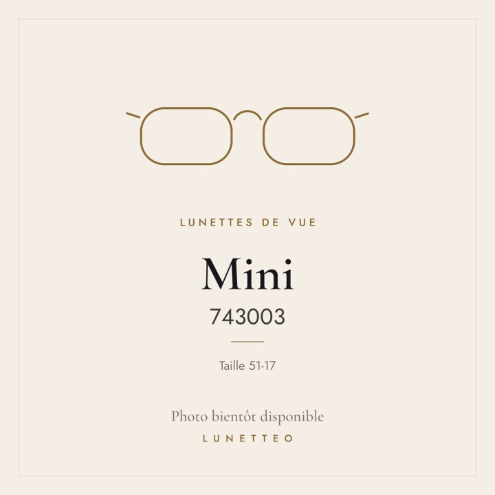 Lunettes de vue Mini 743003