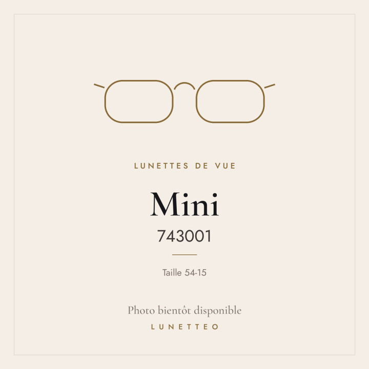 Lunettes de vue Mini 743001