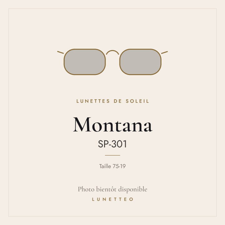 Lunettes de soleil Montana SP-301