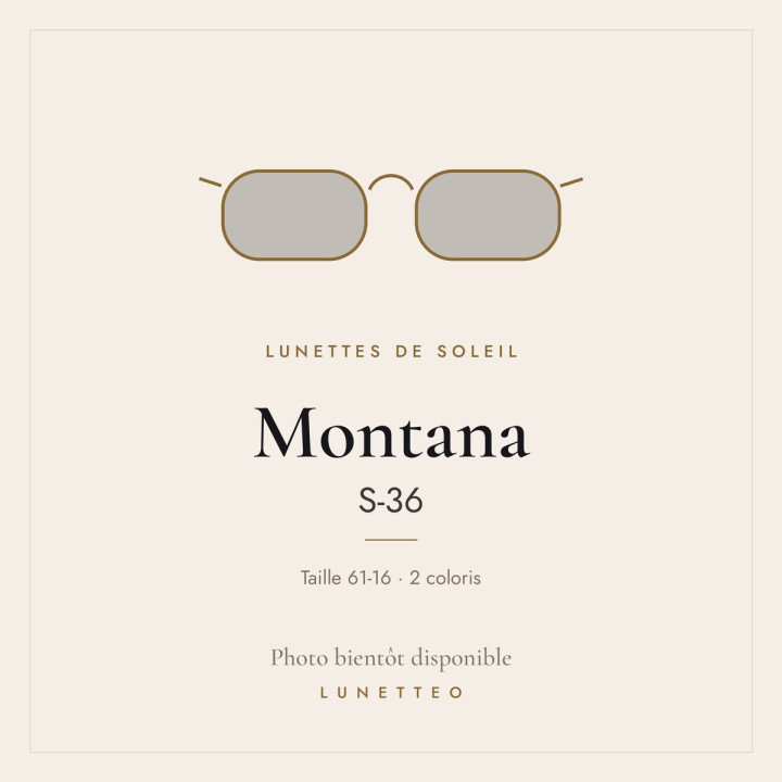 Lunettes de soleil Montana S-36