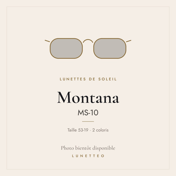 Lunettes de soleil Montana MS-10