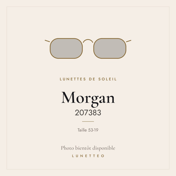 Lunettes de soleil Morgan 207383