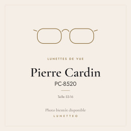 Lunettes de vue Pierre Cardin PC-8520