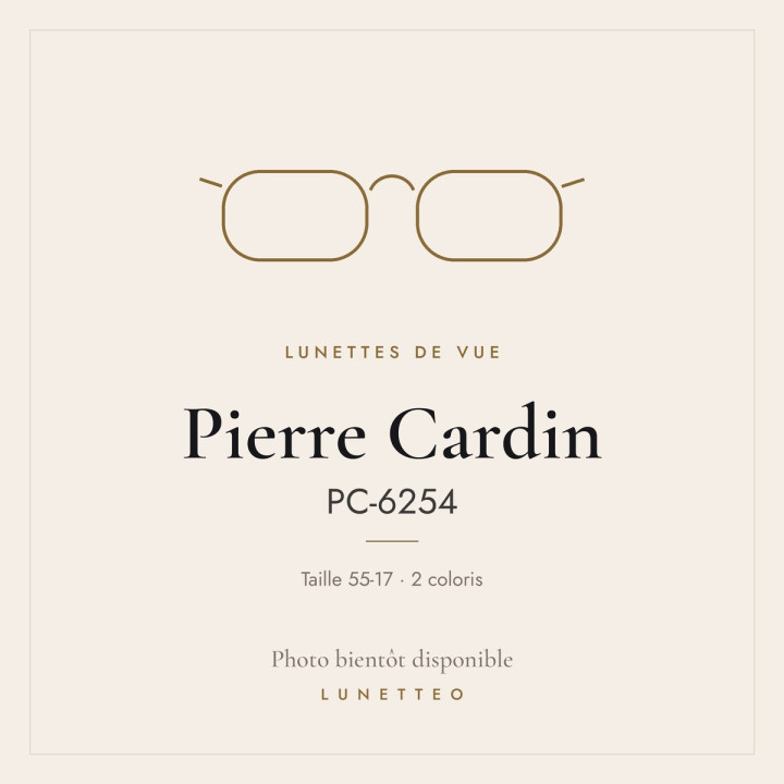 Lunettes de vue Pierre Cardin PC-6254