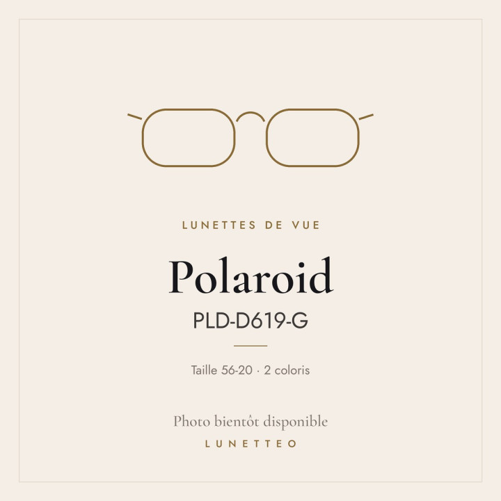 Lunettes de vue Polaroid PLD-D619-G