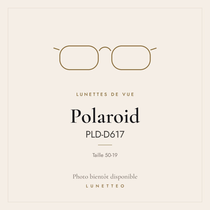Lunettes de vue Polaroid PLD-D617