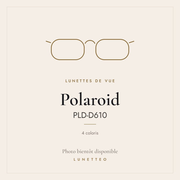 Lunettes de vue Polaroid PLD-D610
