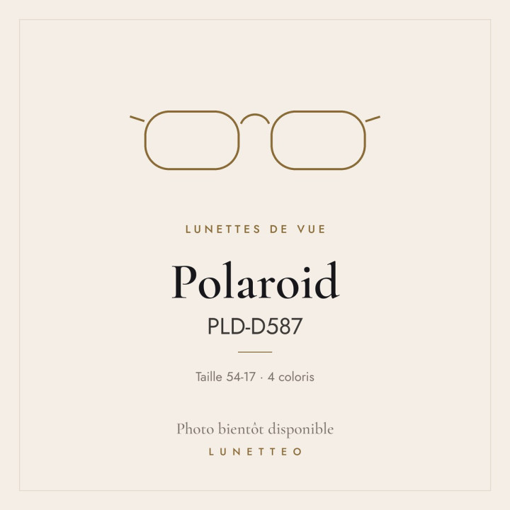 Lunettes de vue Polaroid PLD-D587