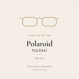 Lunettes de vue Polaroid PLD-D541