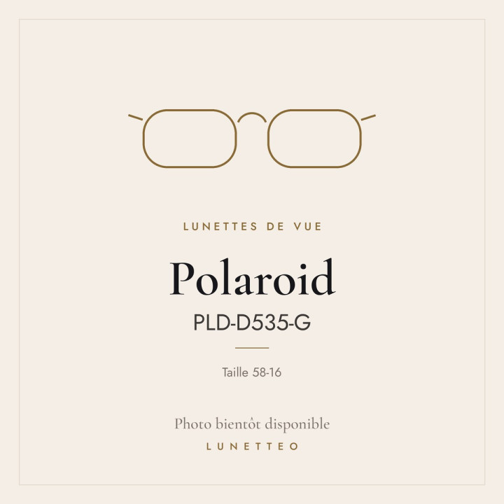 Lunettes de vue Polaroid PLD-D535-G