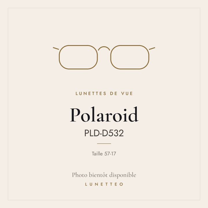 Lunettes de vue Polaroid PLD-D532