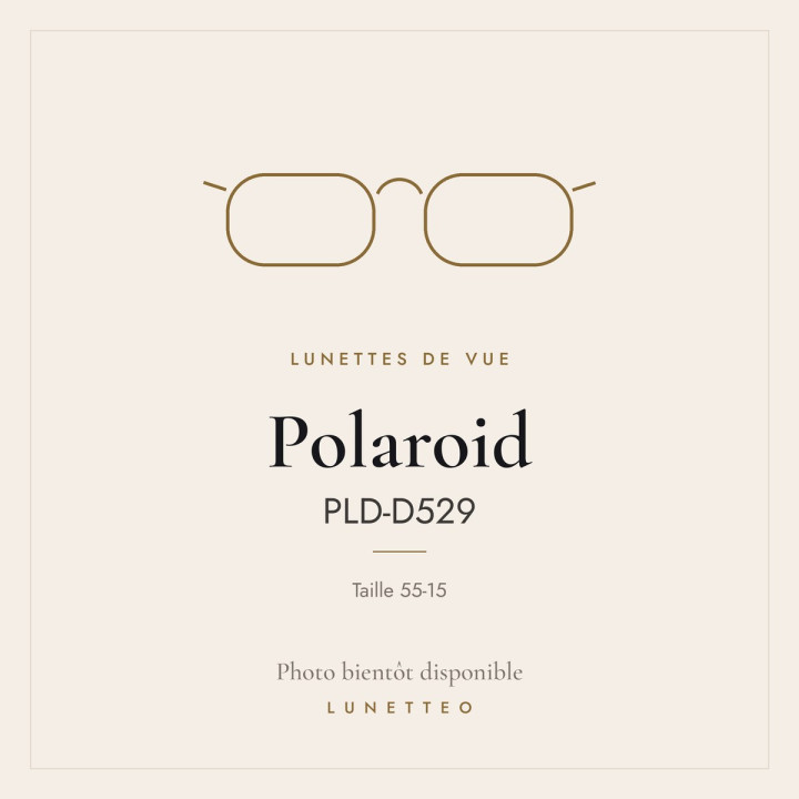 Lunettes de vue Polaroid PLD-D529