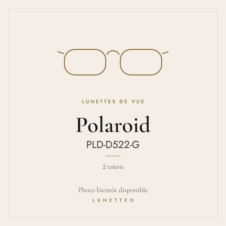 Lunettes de vue Polaroid PLD-D522-G