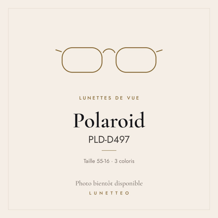 Lunettes de vue Polaroid PLD-D497