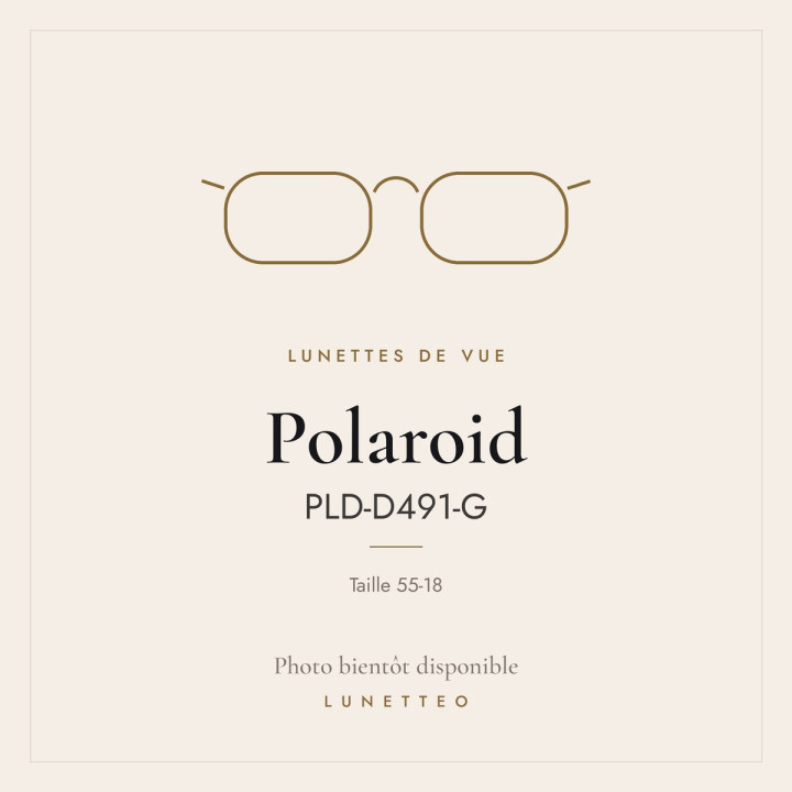 Lunettes de vue Polaroid PLD-D491-G