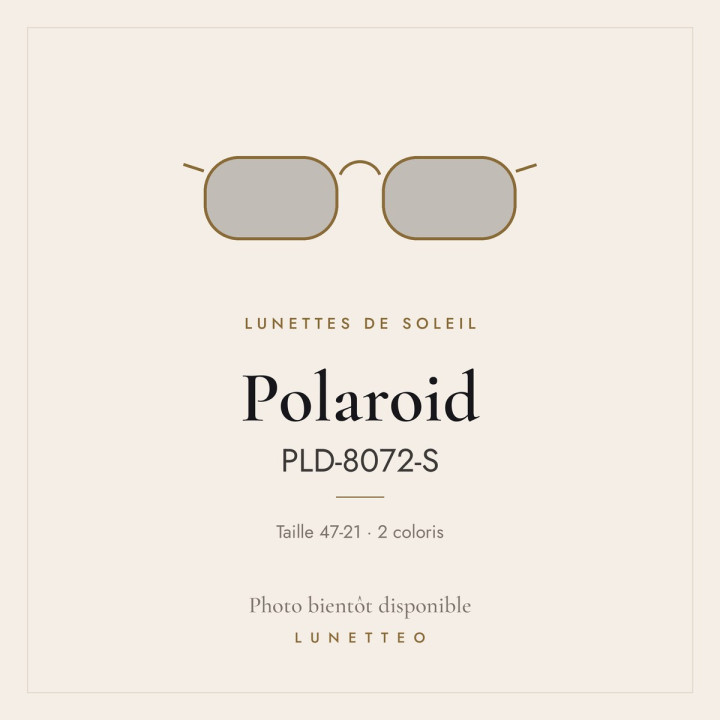 Lunettes de soleil Polaroid PLD-8072-S