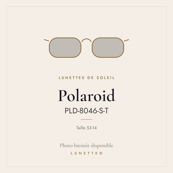 Lunettes de soleil Polaroid PLD-8046-S-T