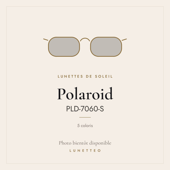 Lunettes de soleil Polaroid PLD-7060-S
