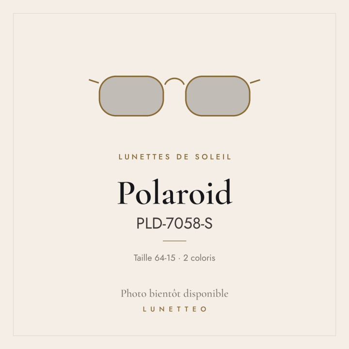 Lunettes de soleil Polaroid PLD-7058-S