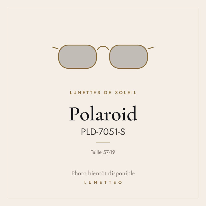 Lunettes de soleil Polaroid PLD-7051-S