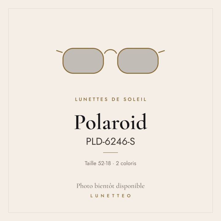 Lunettes de soleil Polaroid PLD-6246-S