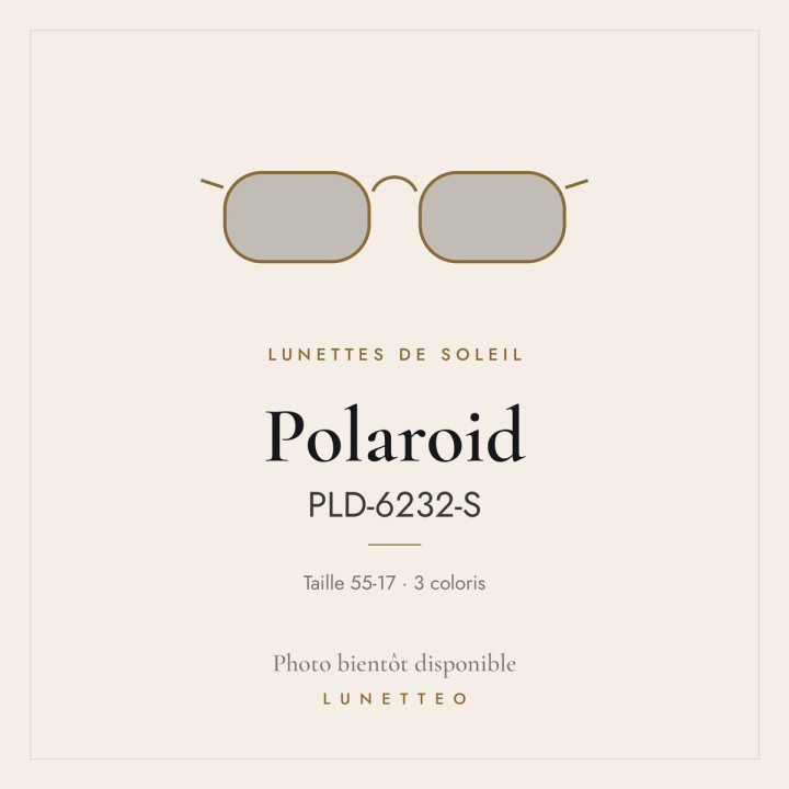 Lunettes de soleil Polaroid PLD-6232-S
