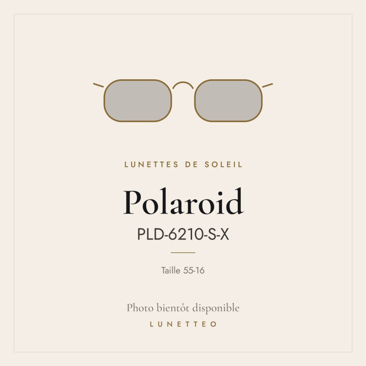Lunettes de soleil Polaroid PLD-6210-S-X