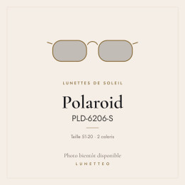 Lunettes de soleil Polaroid PLD-6206-S