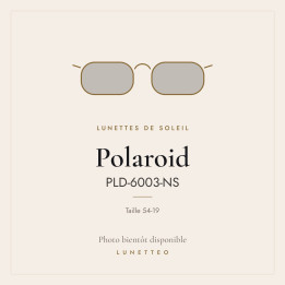 Lunettes de soleil Polaroid PLD-6003-NS