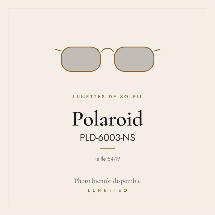 Lunettes de soleil Polaroid PLD-6003-NS