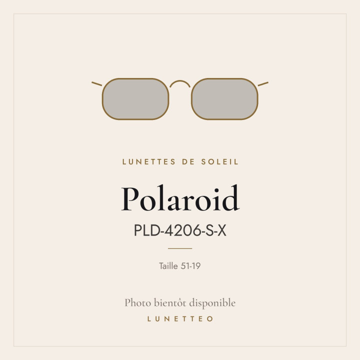 Lunettes de soleil Polaroid PLD-4206-S-X