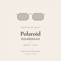 Lunettes de soleil Polaroid PLD-4205-G-S-X