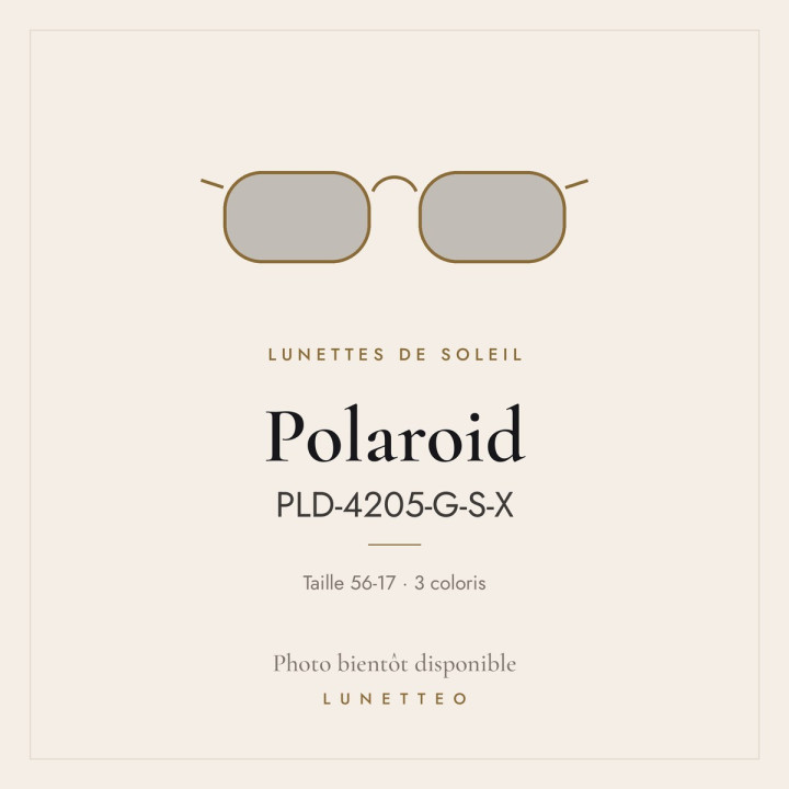 Lunettes de soleil Polaroid PLD-4205-G-S-X