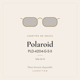 Lunettes de soleil Polaroid PLD-4204-G-S-X