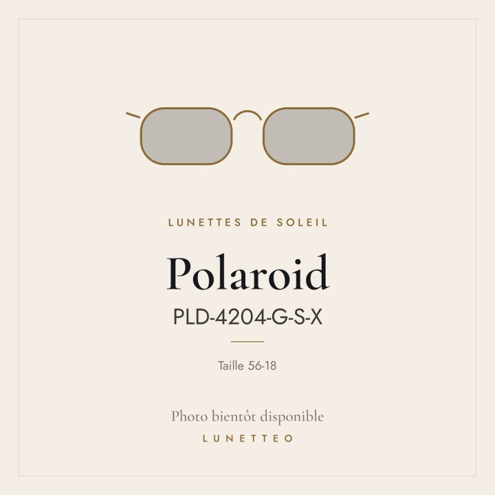 Lunettes de soleil Polaroid PLD-4204-G-S-X