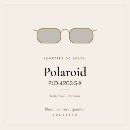 Lunettes de soleil Polaroid PLD-4203-S-X