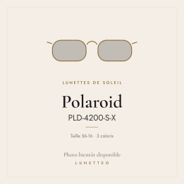 Lunettes de soleil Polaroid PLD-4200-S-X