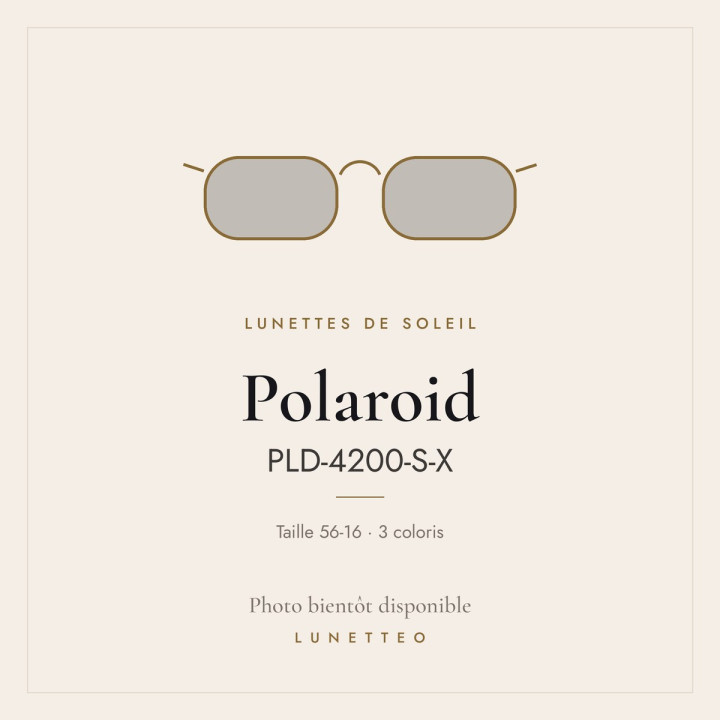 Lunettes de soleil Polaroid PLD-4200-S-X