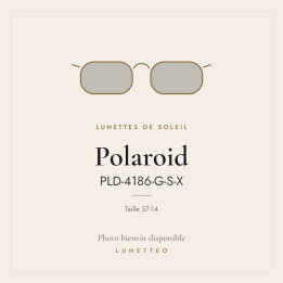Lunettes de soleil Polaroid PLD-4186-G-S-X