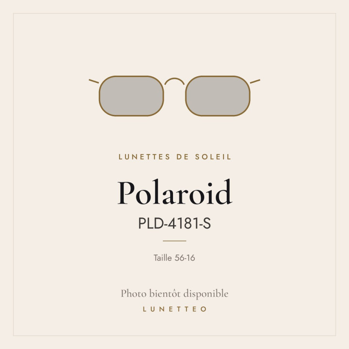 Lunettes de soleil Polaroid PLD-4181-S